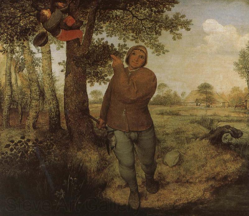 Pieter Bruegel From farmers and Selenocosmia Norge oil painting art